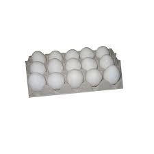 Eier 15er 10x15Stk.
