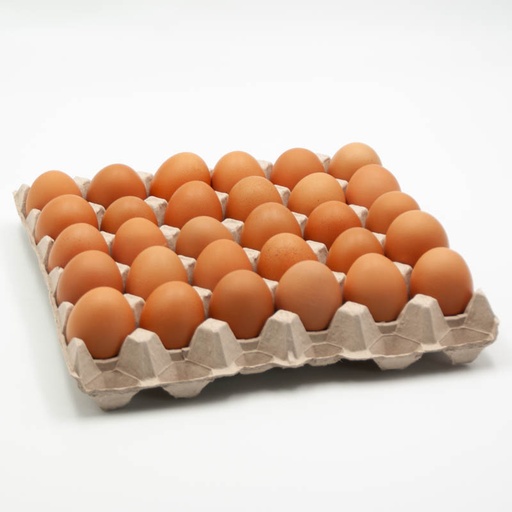 Eier 30er 10x30Stk