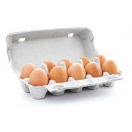 Eier 10er 15x10Stk