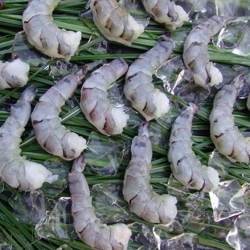 Garnelen 16/20 P&D 12x1kg