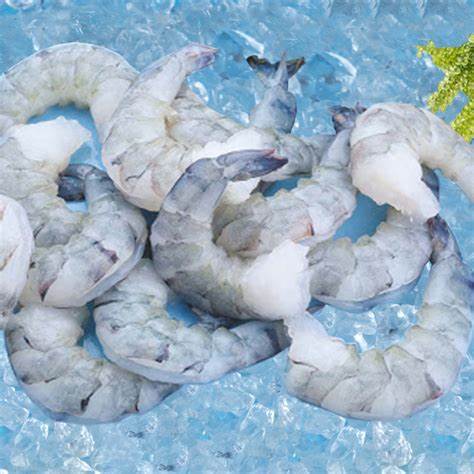 Black Tiger 8/12 HOSO 10x1kg