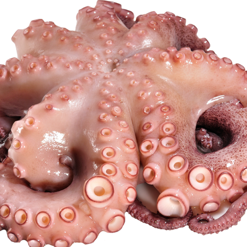Pulpo ganz 3000/4000 12Kg